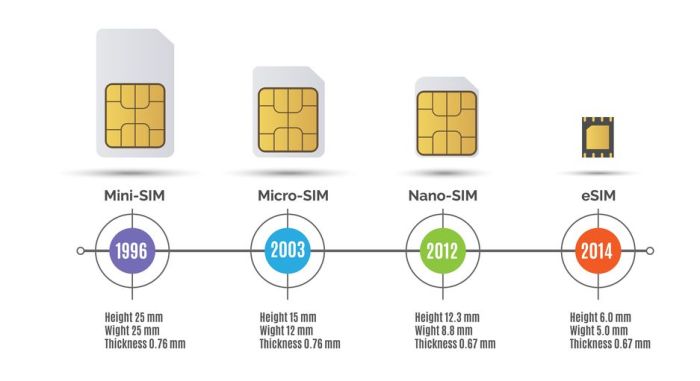 The Evolution of SIM Cards in IoT Devices