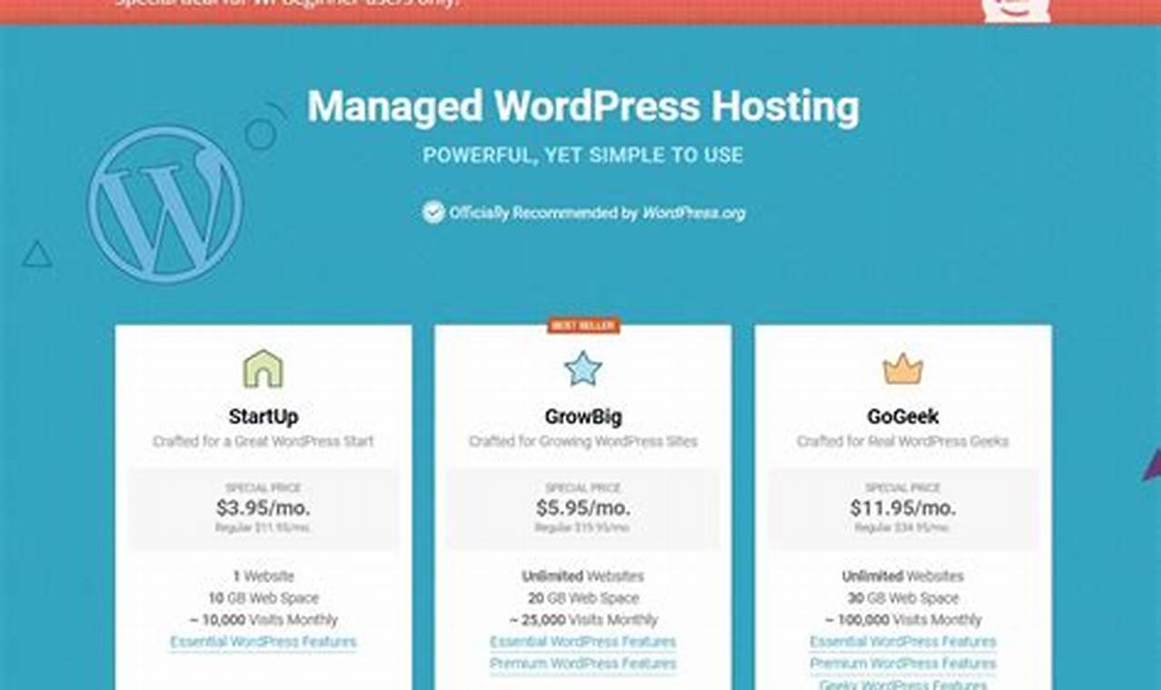 Exceptional WordPress Web Hosting Plans for Cloud Success