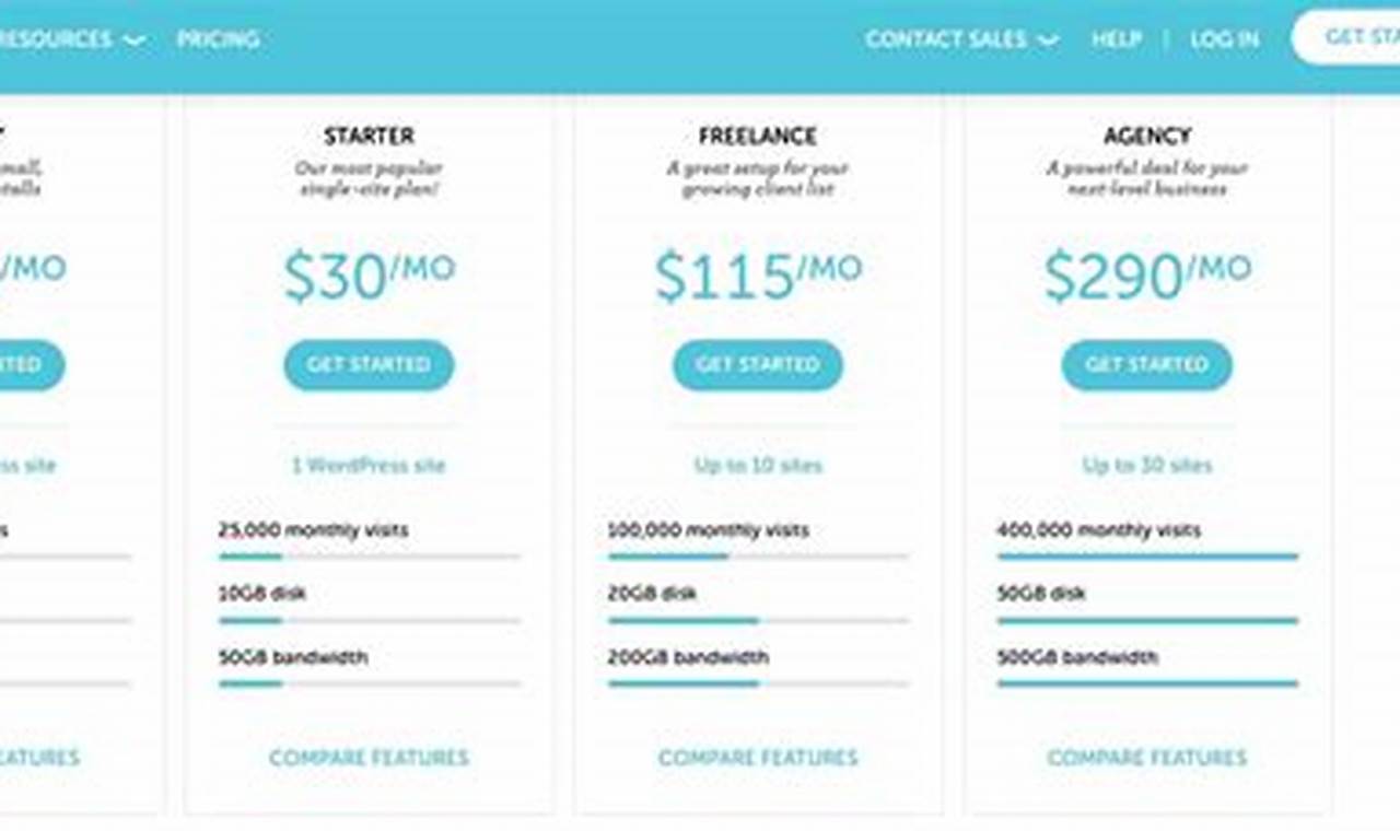 Top-Tier Managed WordPress Hosting Plans for Unmatched Cloud Performance