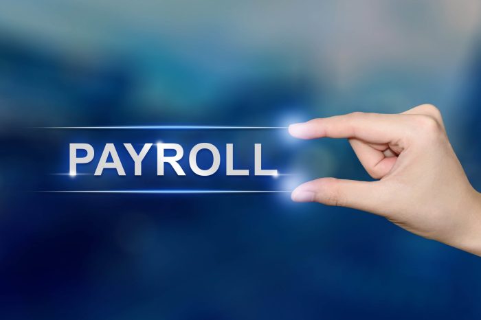 Online Payroll Services